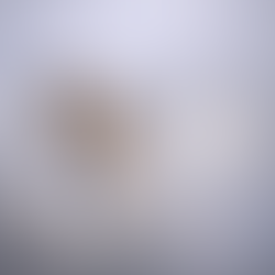 TimeWaver Informationsfeld erklärt: Nutzen, Grenzen &  Einordnung