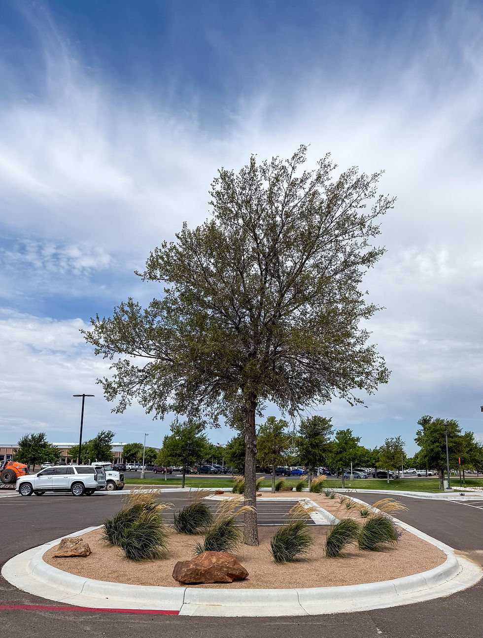 commercial landscape maintenance and installation xeriscaping Amarillo Texas
