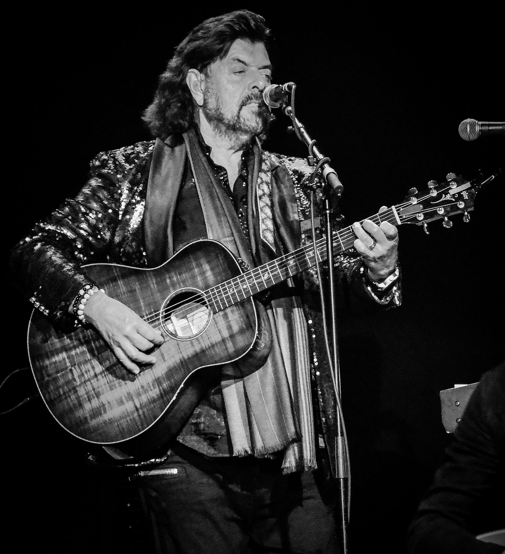 Alan Parsons Live  (19)