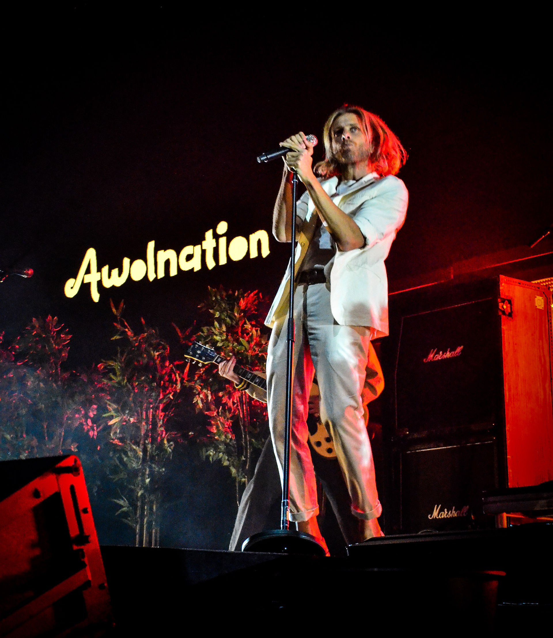 AWOLNATION  (12)