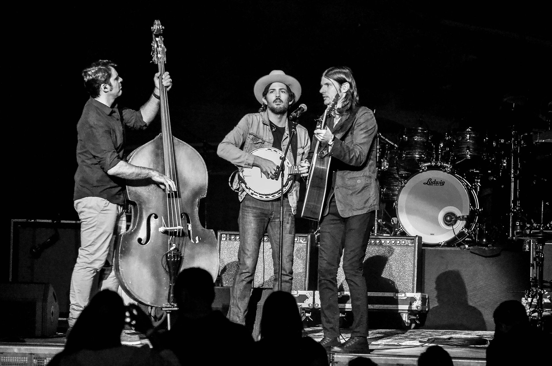 Avett  (6)