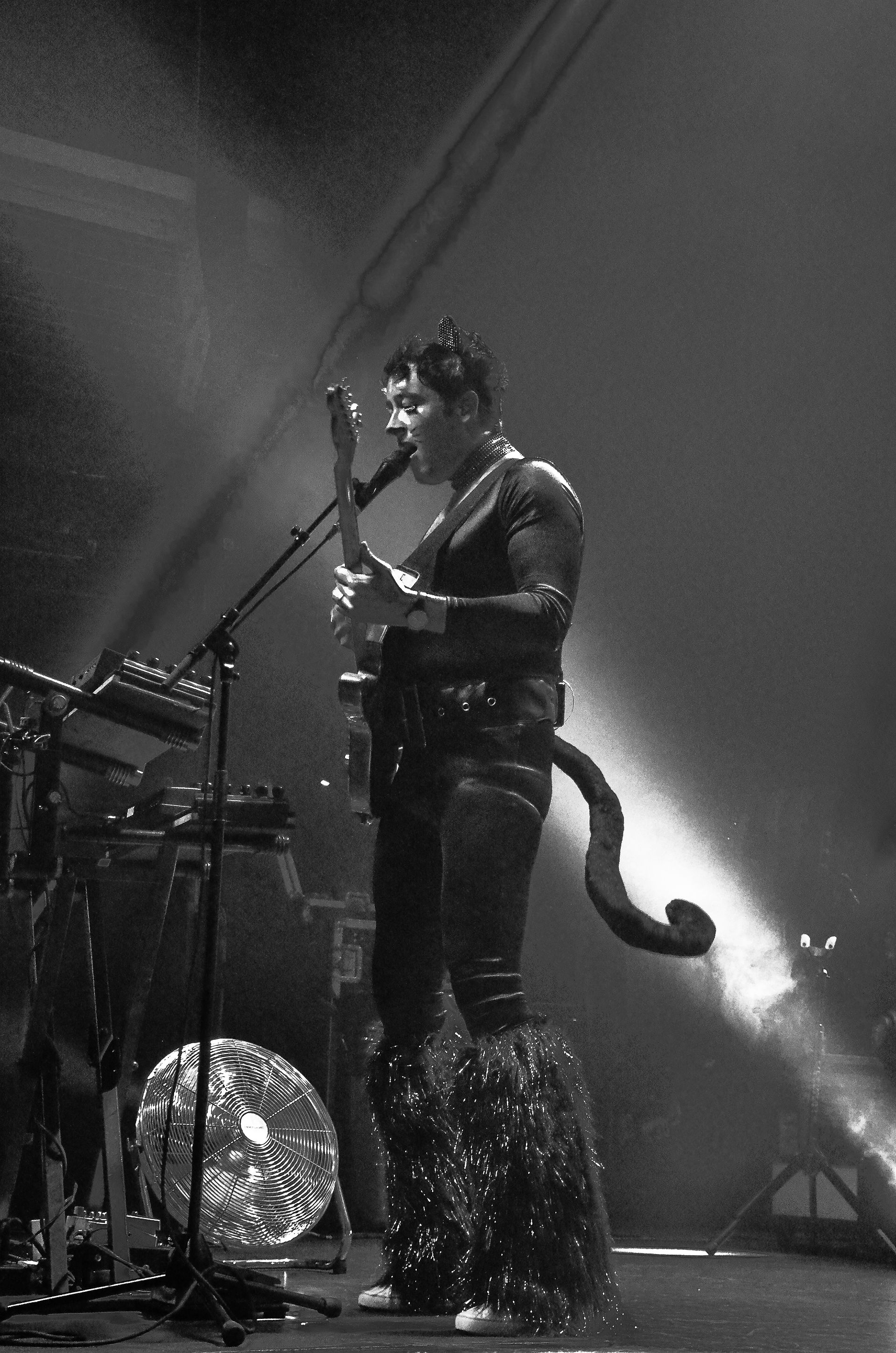 The Wombats (15)