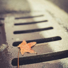 Should Buyers Get Sewer Line Inspections Before Closing?