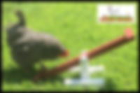 location-the_chicken_network.jpg