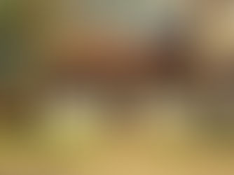 Should You Get a Home Inspection on an Older House?