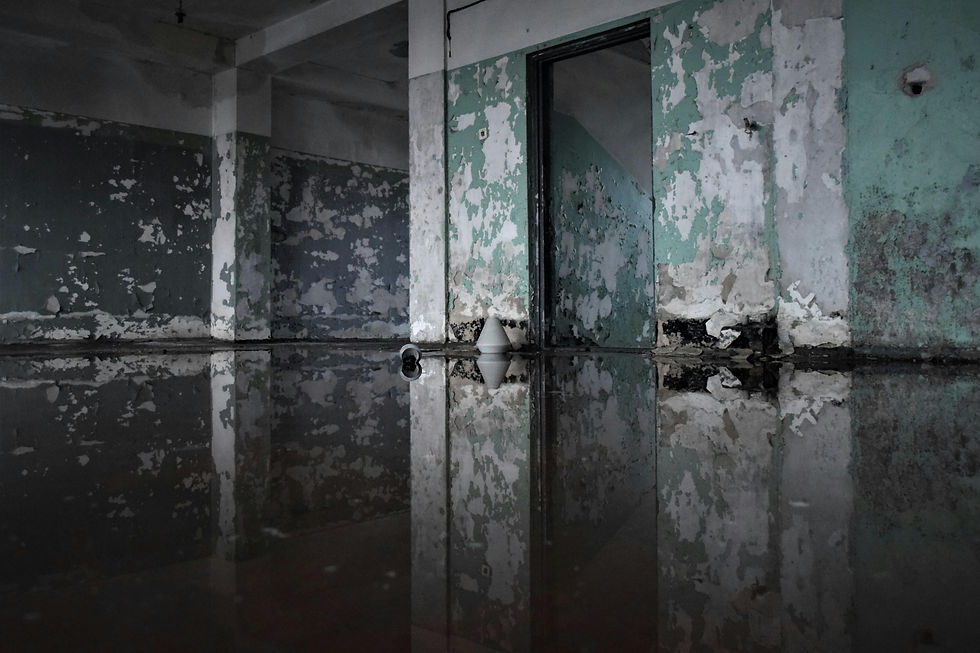 What Happens if a Home Inspection Finds Water Damage?