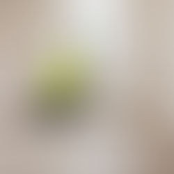 What Questions Should Buyers Ask During a Home Inspection?