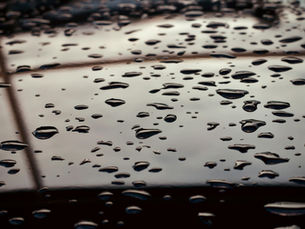 How Does a Car Wash Membership App Work?