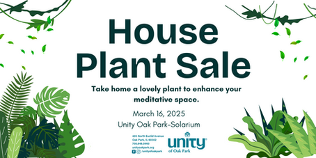House Plant Sale in the Solarium