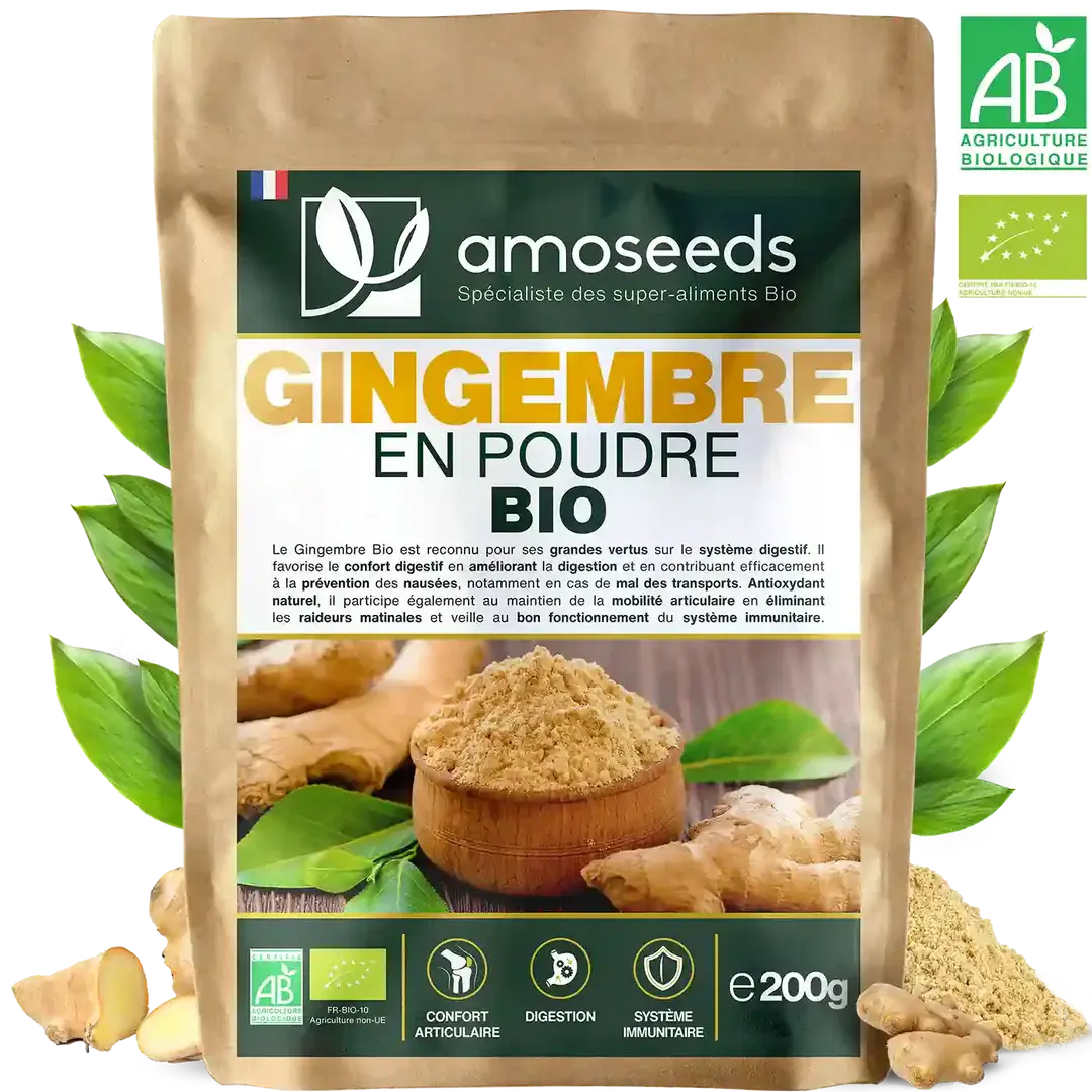 Gingembre en Poudre Bio 200G