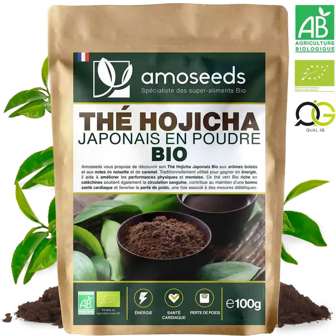 Thé Hojicha Japonais en Poudre Bio 100g