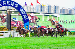 2017年5月7日6場布文騎幸運如意奪主席短途獎