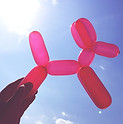 Balloon Dog