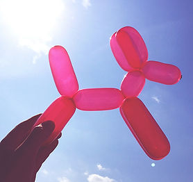Balloon Dog