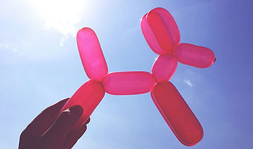 Balloon Dog