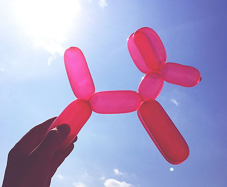 Balloon Dog