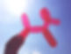 Balloon Dog