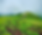 Tadiandamol Trek Gallery 1.png