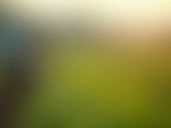 自然栽培農業と持続可能な経済