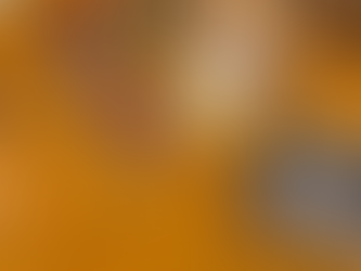 Puzzling over the Past