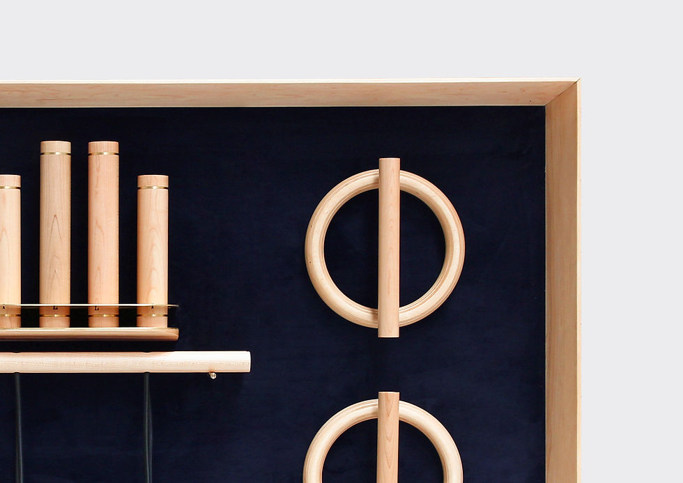 Set L, Wall cabinet to discretely organize sports equipment, by kenko sports equipment