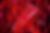 UVプロテクトCCクリーム