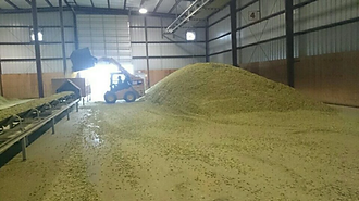 hops12.png