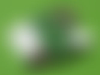 Mau Brochure Dep va Hap Dan: Danh Thuc Su To Mo