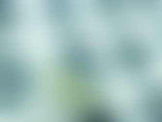 In decal chat luong cao nhan bao gia tron goi sieu tiet kiem