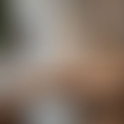 Entre tradition et modernité : l'art de vivre dans une maison en pierre