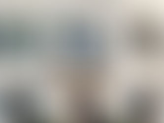 maîtriser les couleurs de sa façade et de ses menuiseries: entre style et cohérence.  