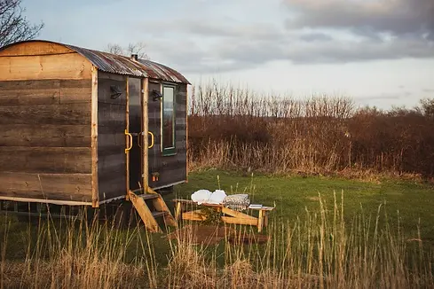 mud and wool sauna.webp