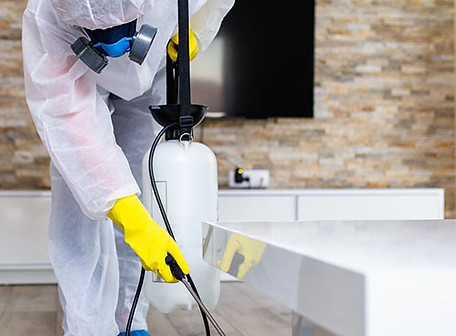 Pylos-Pest-Control-Υπηρεσίες-Απολύμανση-1.jpg