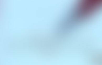 Intentionally Mistaken: Cam You Catch All the Errors Hidden in Plain Sight?