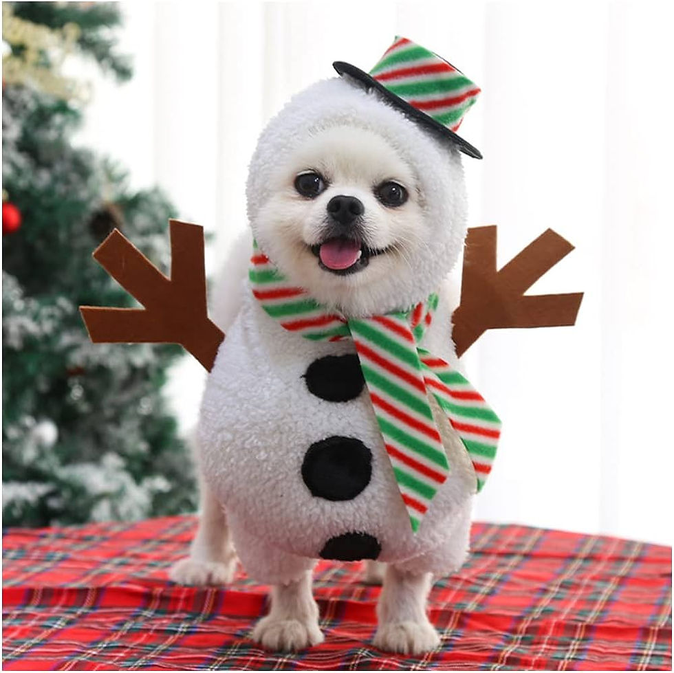 ree
