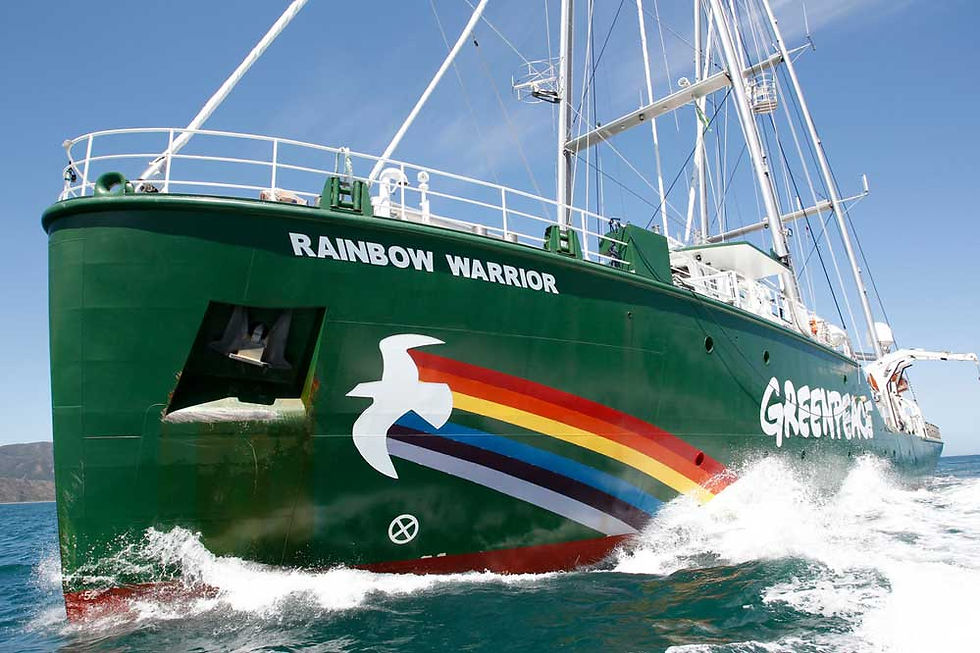 Ich wollte auch auf ein Schiff wie die Rainbow Warrior und Umweltsündern das Handwerk legen. Bild: Greenpeace.org