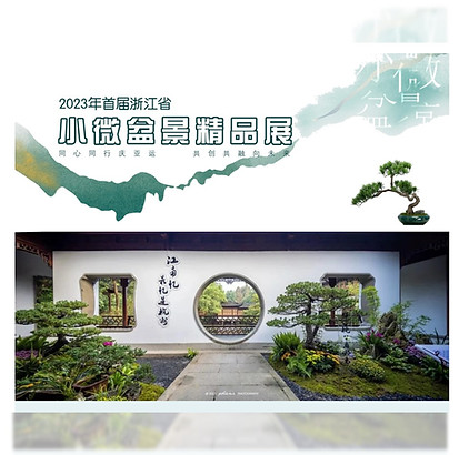 Zhejiang Bonsai.jpg