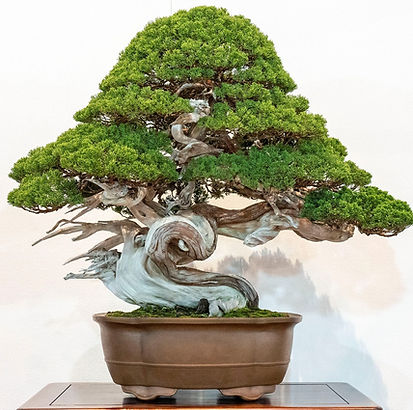 Kokufu Ten 2024 (1).jpg