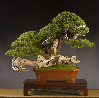 Trophy 2023 (18).JPG