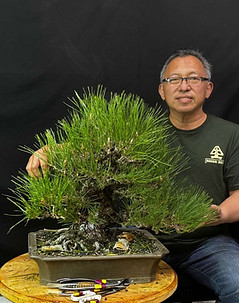 Bonsai Boon (1).jpg