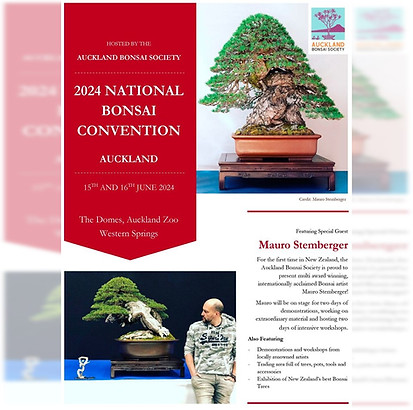 Nz Bonsai convention.jpg