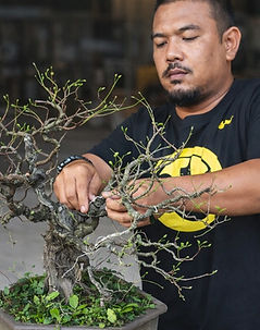 Ahmad Faizal Bin Mansor.jpg