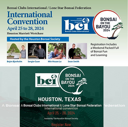 BCI Regional 2024 Huston.jpg