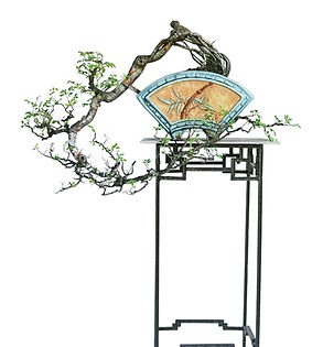 Penjing - Allan Harding.jpg
