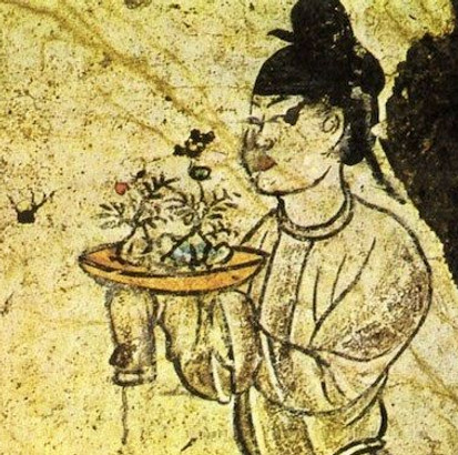 bonsai ancient photo.jpg