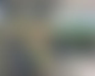 Campaña Gruesa 2025/26: maíz y girasol lideran la carrera con récords de avance a nivel nacional