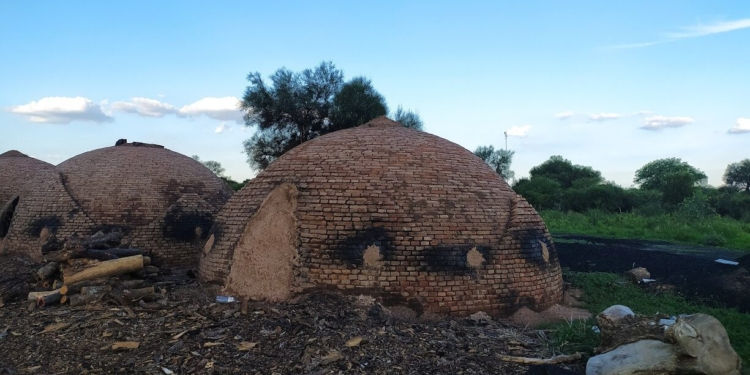 El 'oro negro' del desierto: Cómo Santiago del Estero transforma residuos en productividad