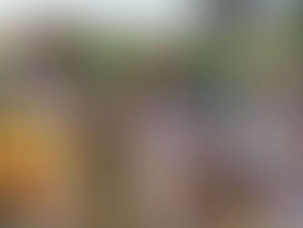 "Sembrando esperanza, cosechando miel" Mujeres que Polinizan Futuro: el proyecto santiagueño que ganó 10 millones y transforma el monte en oportunidad