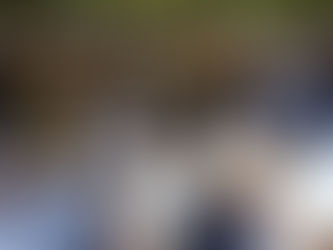 ¡La Ganadería de Pie! Récords históricos en Azul confirman el "Boom" del rodeo argentino