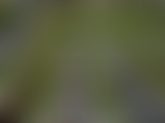 Midory: el hombre que cultivó el futuro en el patio de su madre y hoy revoluciona la gastronomía